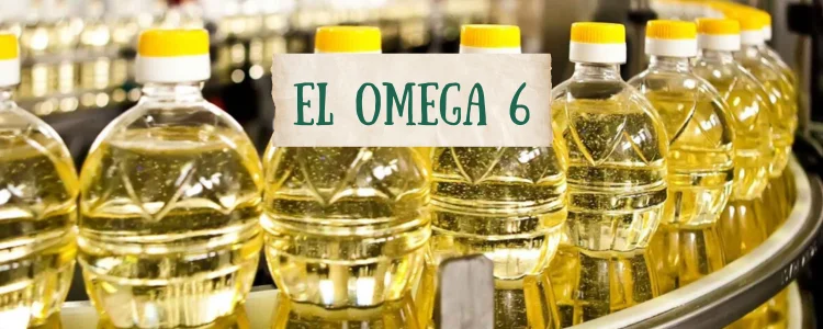 ¿Por qué es un problema el Omega 6?
