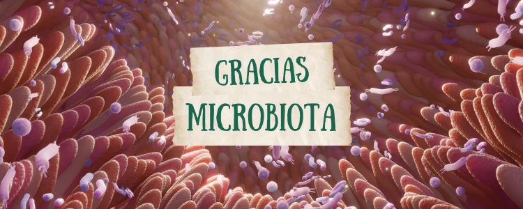 La microbiota, amiga de la vida!
