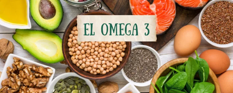 Nuestras fuentes de Omega 3