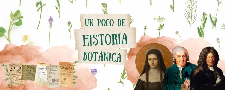 Botánica: la historia de Hildegarda de Bingen, Pierre Magnol y Carlos Linneo.