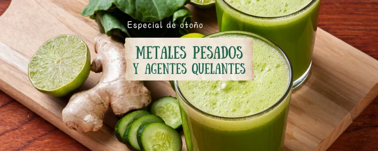 La acumulación de metales pesados y cómo eliminarlos.