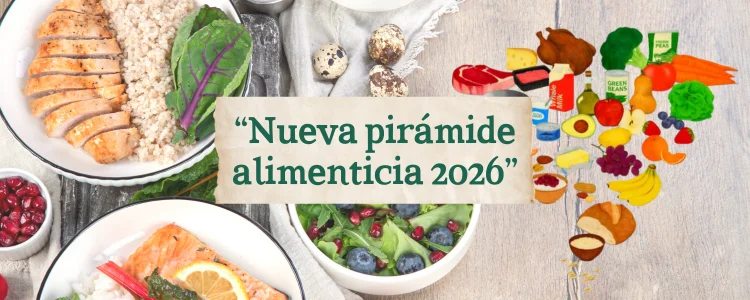 Análisis de la pirámide alimenticia 2026.